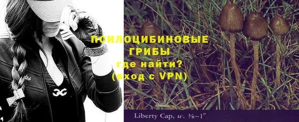 гашик Домодедово