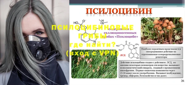 гашик Покачи