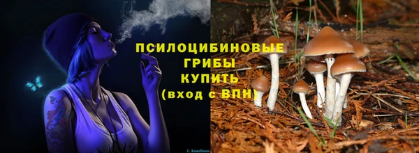 ГАЛЛЮЦИНОГЕННЫЕ ГРИБЫ Приозерск